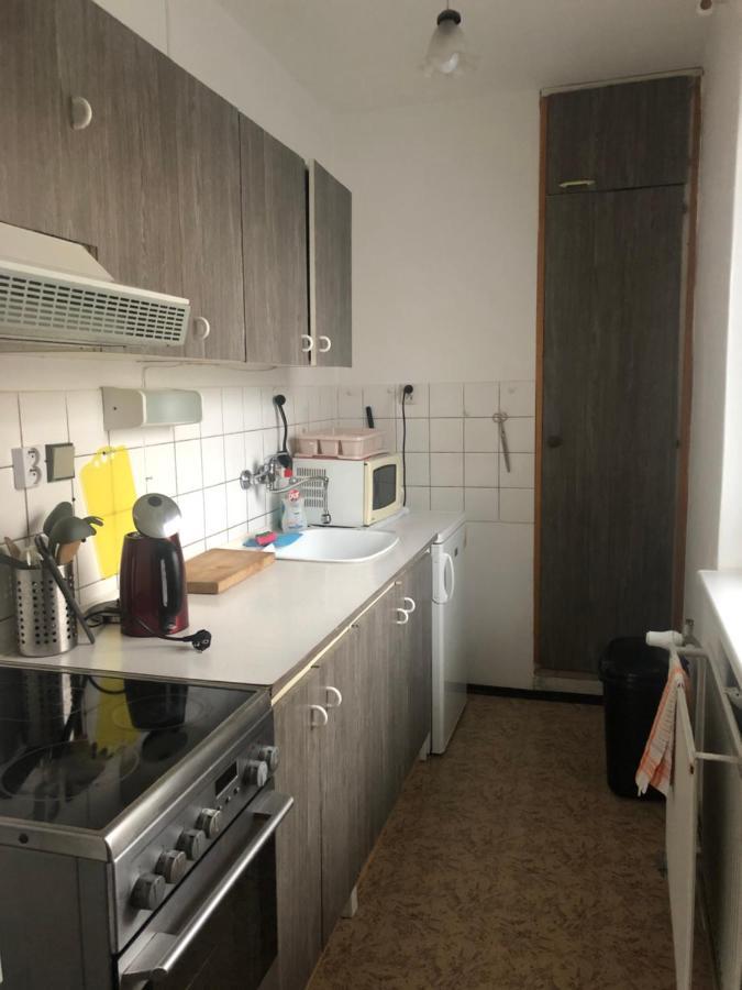 Apartman Na Horach Zlata Olesnice  Экстерьер фото