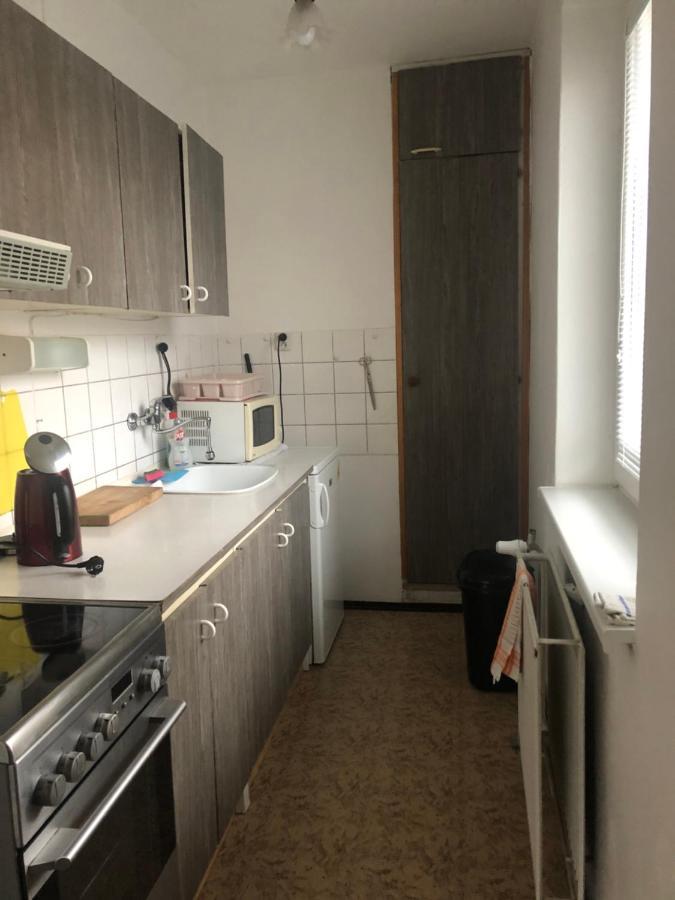 Apartman Na Horach Zlata Olesnice  Экстерьер фото